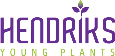 Hendriks Young Plants